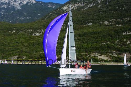 Topaz 70 specificaties